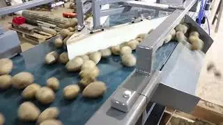 Транспортер с управляемым направлением потока продукта