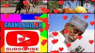 New Balochi poetry|| Molla Kamalan|| بلو  چی شعر