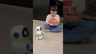 Maze master robot