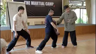 The Martial Camp 2023 - Video Highlights • Taiji Quan | Crane Style | 5 Ancestors Fist | Wing Chun