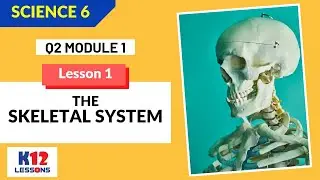 Science 6 Quarter 2 Module 1 Lesson 1 - The Skeletal System