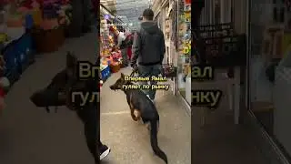 АГРЕССИЯ НА ЛЮДЕЙ ???Я ДУМАЛ ДЛЯ НЕМЦЕВ ЭТО НОРМА...🤔🤔🤔