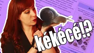 Les escargots, c'est pas ch!ant du tout! - Kékécé #3