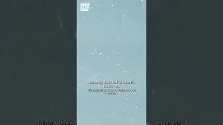 Ar Brawf