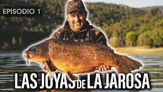 LAS JOYAS DE LA JAROSA/EPISODIO 1.  ***CARPFISHING TV***