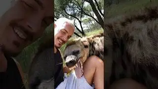 Hyena Welcome🥰 
