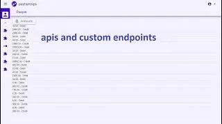 custom endpoints and api calls in radsystems