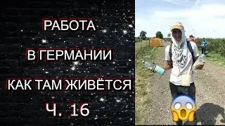 ЕДА В ГЕРМАНИИ. ПОКУПКИ. ПОСЛЕДНИЕ ДНИ РАБОТЫ В ГЕРМАНИИ (ЧЕРНИКА) ЧАСТЬ 16
