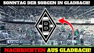 💥Gladbach-Schock: NACHRICHTEN DIESES SONNTAGS AUS GLADBACH! Neuigkeiten von BORUSSIA M'GLADBACH!