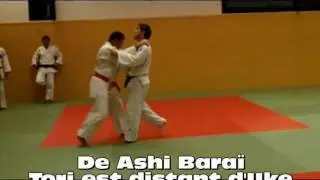 Judo - Baraï et Gari.avi