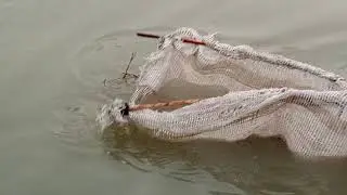 Pakistan's Passenger Train passes and Kids are hunting fish 🐠