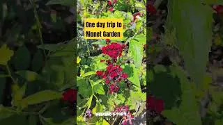Day trip to Monet Garden, at  #france #travel #giverny #indianinfrance #solotravel