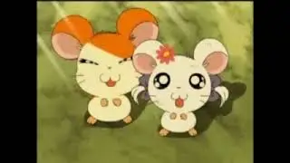 Hamtaro and Bijou - Down