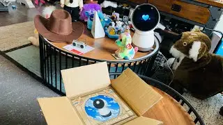 Jibo's Review - Dead Startup Toys (Not Dead Yet!)