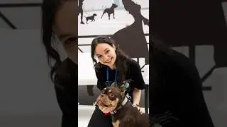 #ветеринар