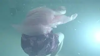 Camp Artism Toronto, Canada | Underwater Videography + Photography | House of Artists Foundation