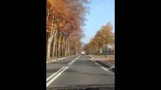 Antepli Hollandada