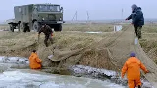 Отлов рыбы в ОАО «Опытный рыбхоз «Селец»