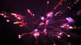 Новогодняя стрельба