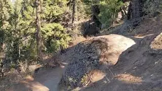 Let's Go Hiking! & the move to Idaho