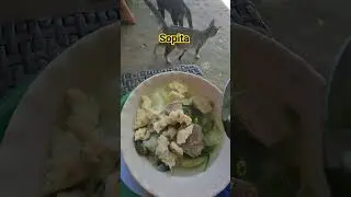 sopita
