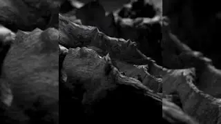 Next Level short film jewelry Animation Super dynamic!!