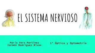 Generalidades del Sistema Nervioso