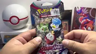 Pokemon Scarlet and Violet Release Day!!! 