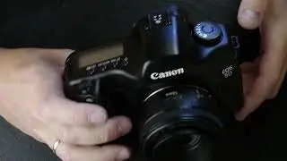 Canon 5D (обзор внешнего вида и работоспособности)