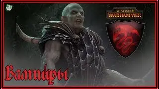 TOTAL WAR: Warhammer - Вампиры(12) - Оборона Дракенгофа.