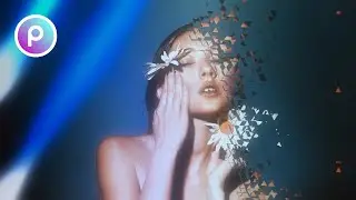 Dispersion Effect on Picsart | Edit like a PRO!