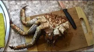 Удачная крабалка.  Кромсаю краба ..