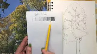 How to Draw a Tree