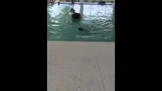 Swim