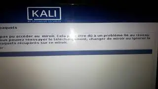 KALI LINUX 2019 SET UP MIRROR CONNECTION ERROR