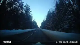 Косули на дороге