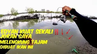 Mancing Di Spot Viral Gratis Di Kendal Strike Terus‼️Bawa Udang Banyak Kalo Kesini |Mancing Semarang