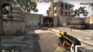PP-Bizon Ace