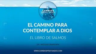 El camino para contemplar a Dios