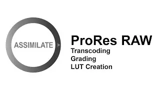 ProRes RAW - Transcoding, Grading, LUT Creation