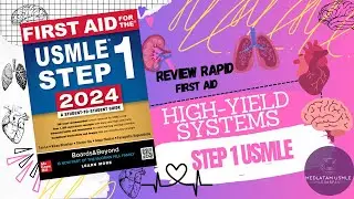 RAPID REVIEW  HY SISTEM FA 2024 PARTE 1
