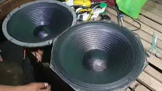 SPEAKER REPAIR D15