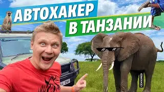 🐘 Путешествие в Танзанию - Сафари в Африке!