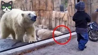 7 VIDEOS DONDE EL CRISTAL NO ERA LO SUFICIENTEMENTE FUERTE | VIDEOS MAS IMPACTANTES