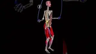 Jumping rope