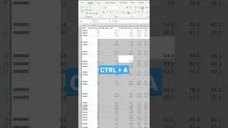 Excel trick: ALT H O I, ALT H O A 