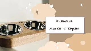питание собаки 🥣🐕
