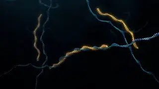 RNA-targeting medicines: search and delete in cells