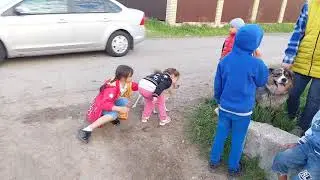 ДЕТИ НАПАЛИ НА РЫСЬ/Прогулка Рыси