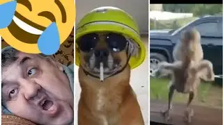 мемы 🤣🤣🤣 (3 часть)
